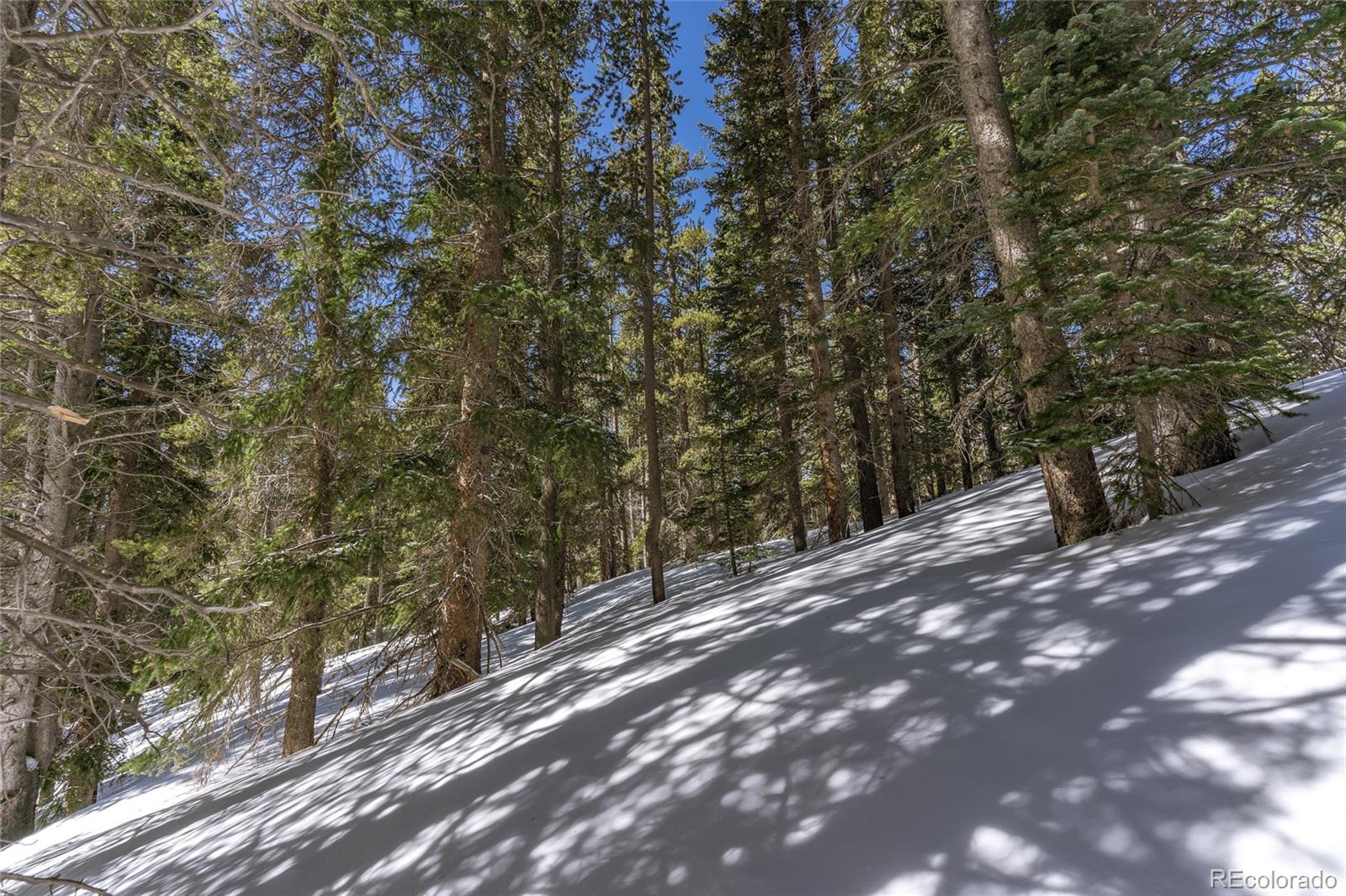 1 Lake Road Idaho Springs, CO 80452 - Photo 14 of 40 Gallery Image 14