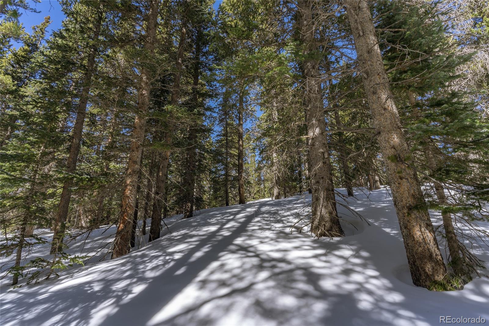 1 Lake Road Idaho Springs, CO 80452 - Photo 15 of 40 Gallery Image 15