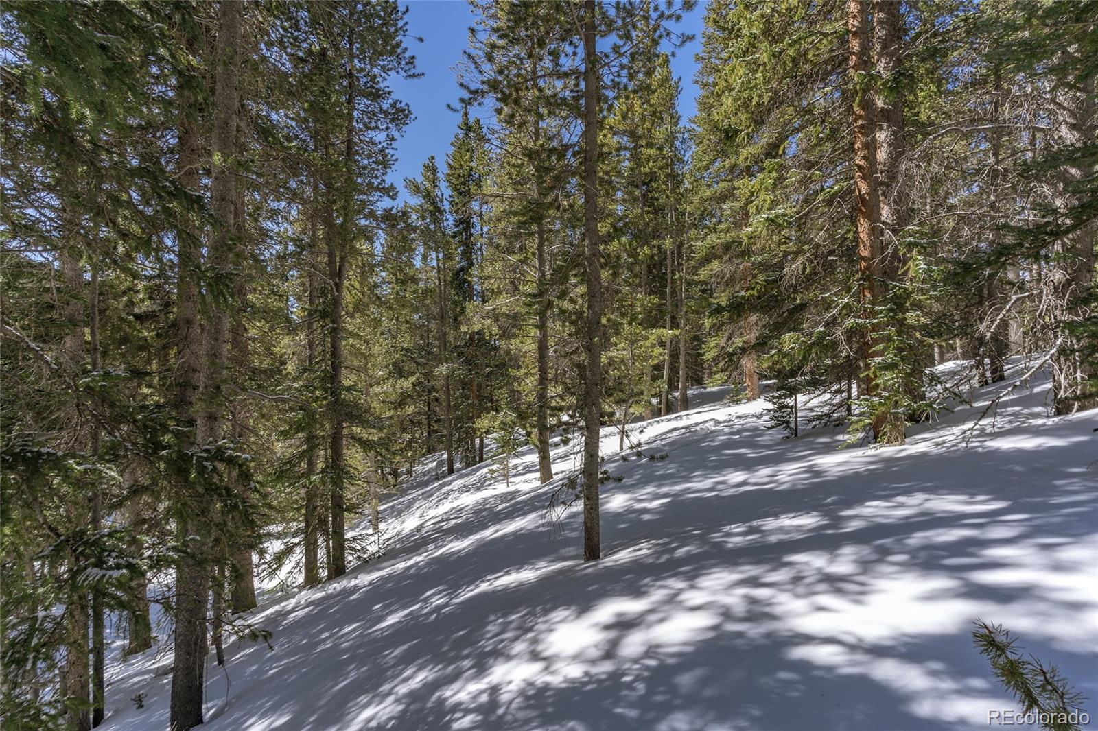 1 Lake Road Idaho Springs, CO 80452 - Photo 17 of 40 Gallery Image 17