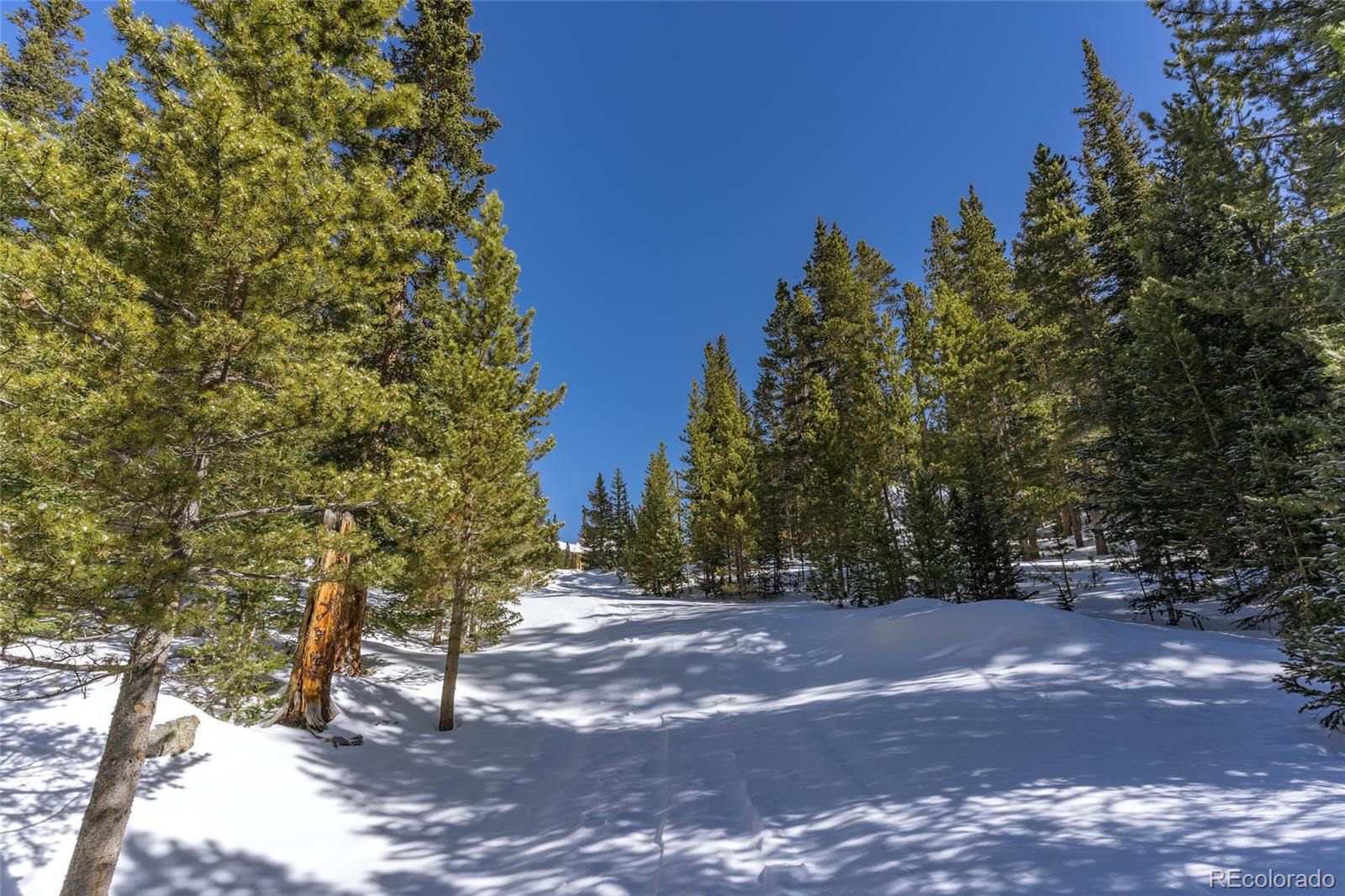 1 Lake Road Idaho Springs, CO 80452 - Photo 3 of 40 Gallery Image 3