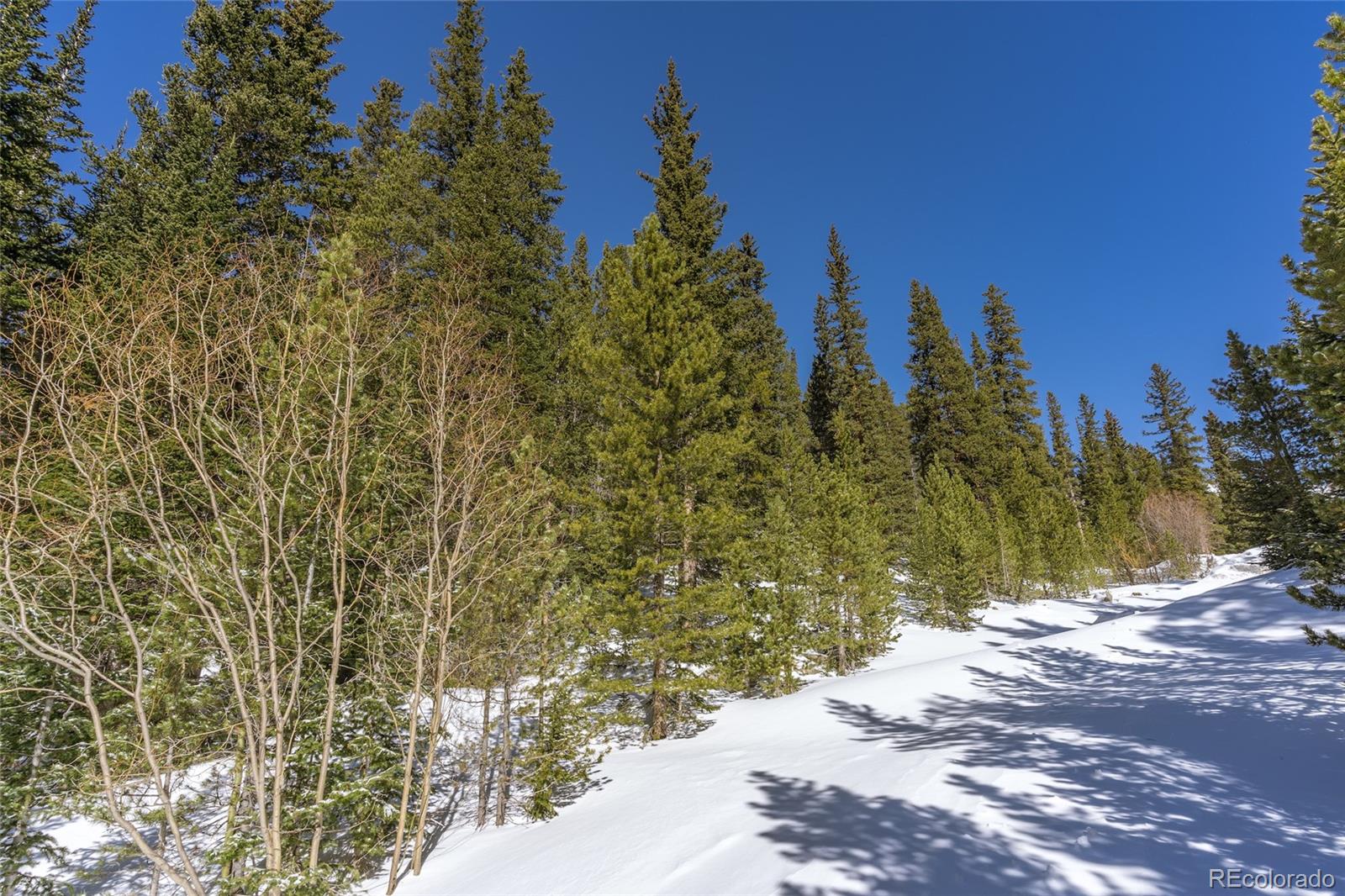 1 Lake Road Idaho Springs, CO 80452 - Photo 4 of 40 Gallery Image 4