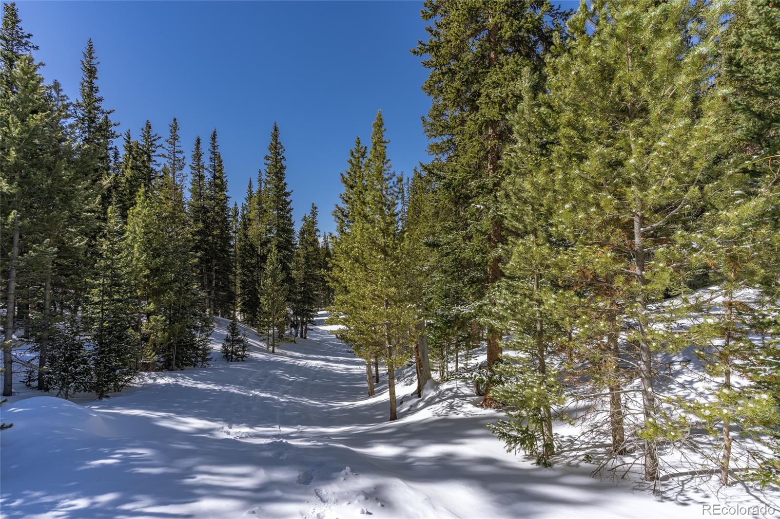 1 Lake Road Idaho Springs, CO 80452 - Photo 5 of 40 Gallery Image 5