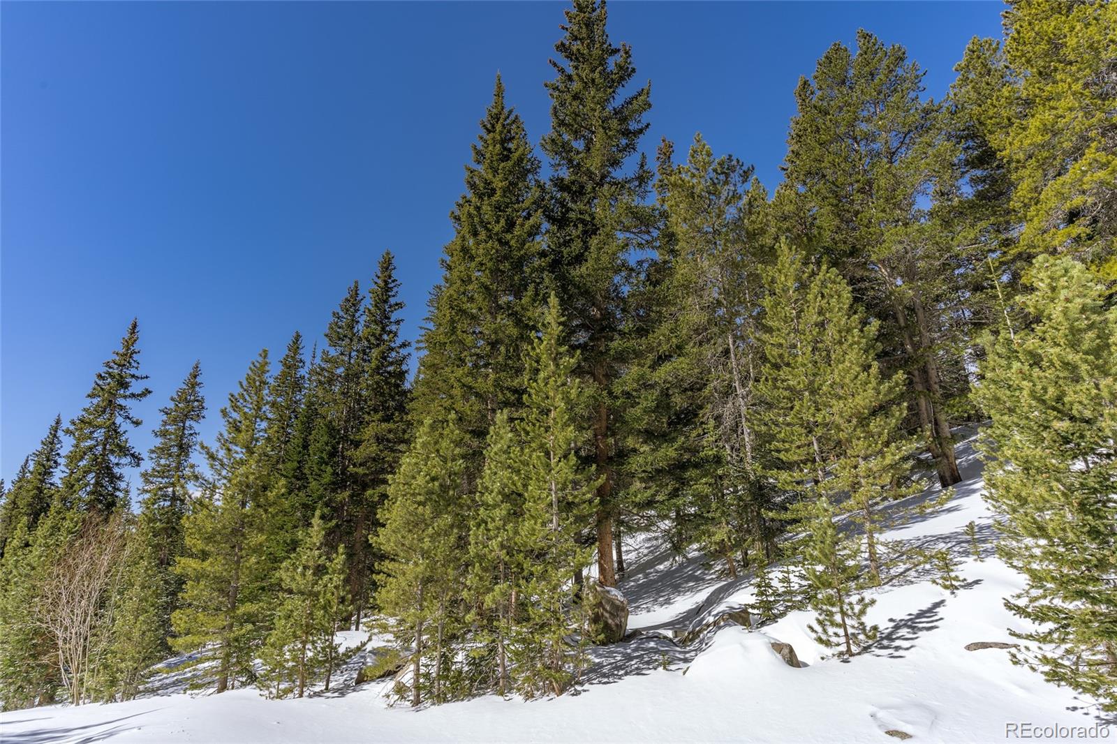 1 Lake Road Idaho Springs, CO 80452 - Photo 6 of 40 Gallery Image 6