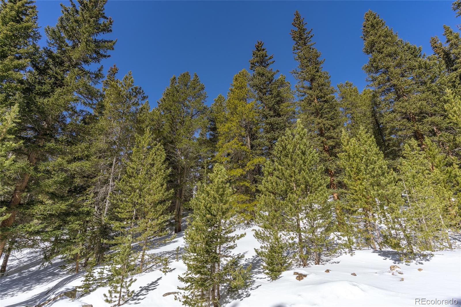 1 Lake Road Idaho Springs, CO 80452 - Photo 7 of 40 Gallery Image 7