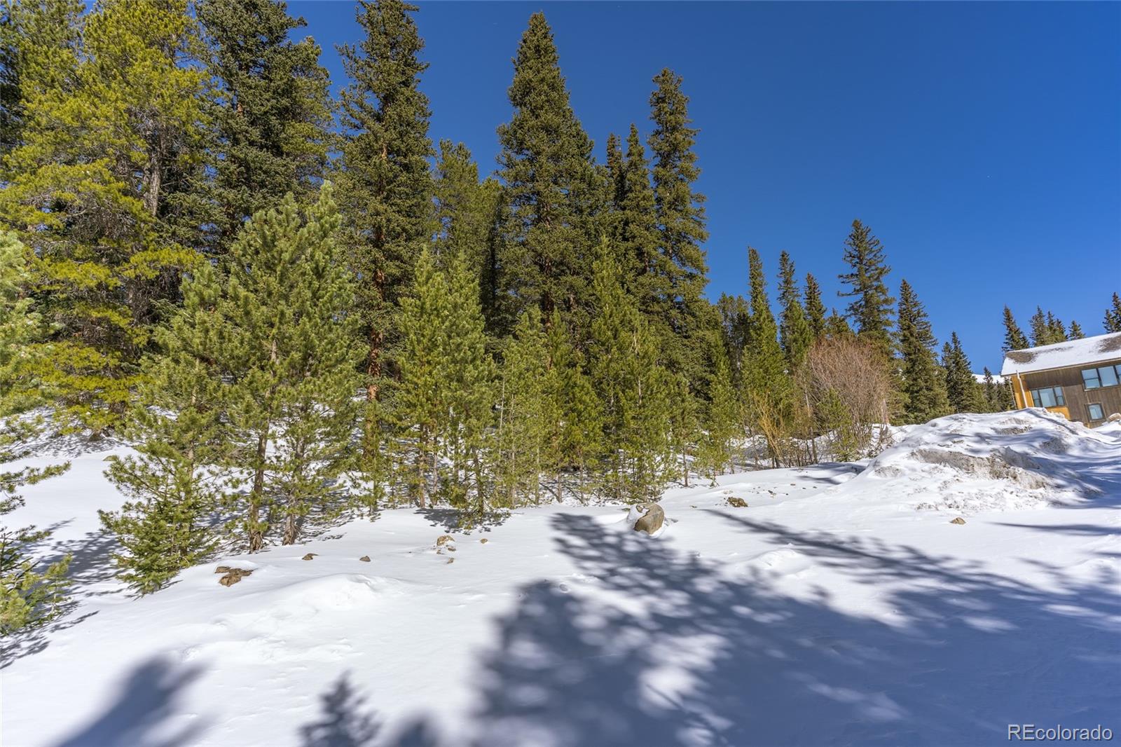 1 Lake Road Idaho Springs, CO 80452 - Photo 8 of 40 Gallery Image 8