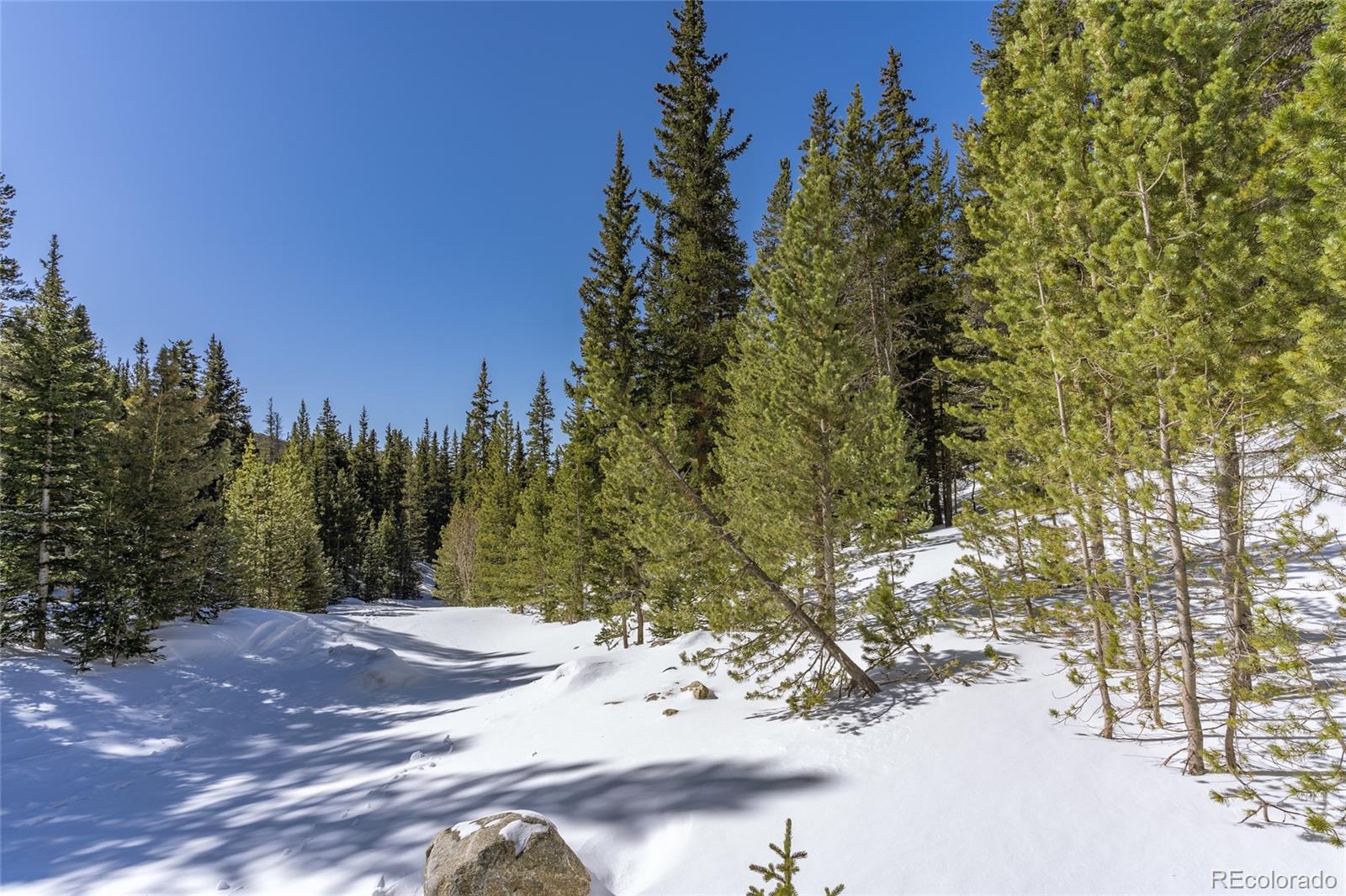 1 Lake Road Idaho Springs, CO 80452 - Photo 9 of 40 Gallery Image 9