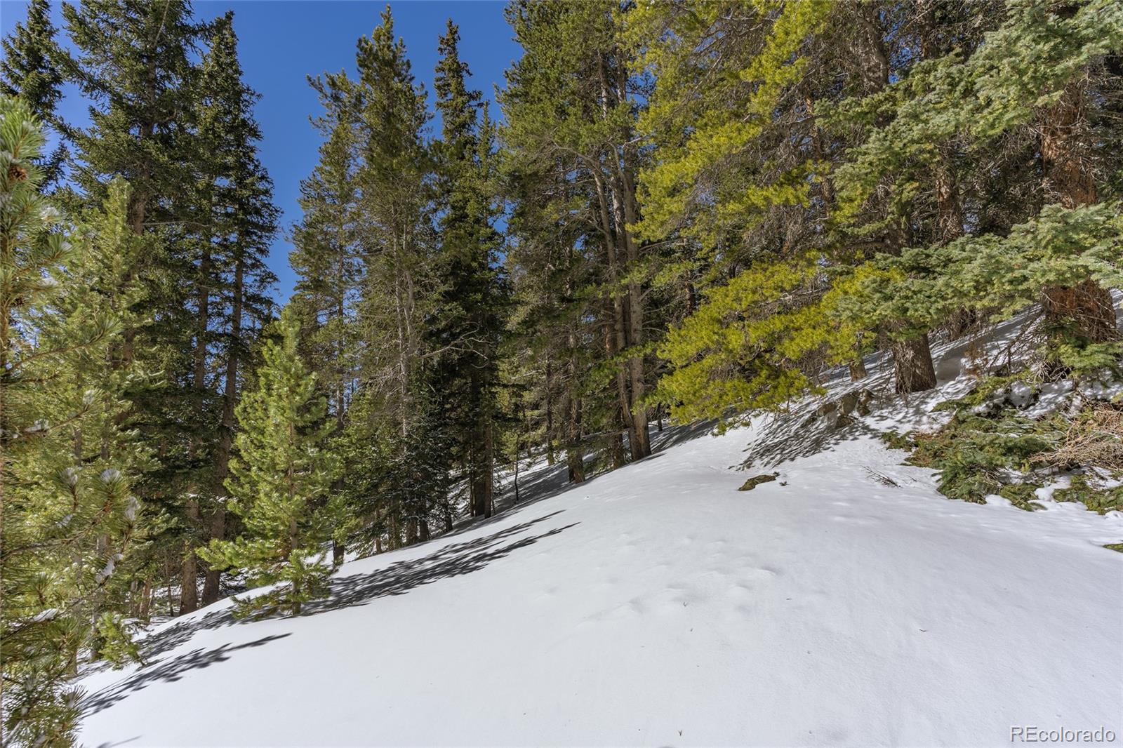 1 Lake Road Idaho Springs, CO 80452 - Photo 10 of 40 Gallery Image 10