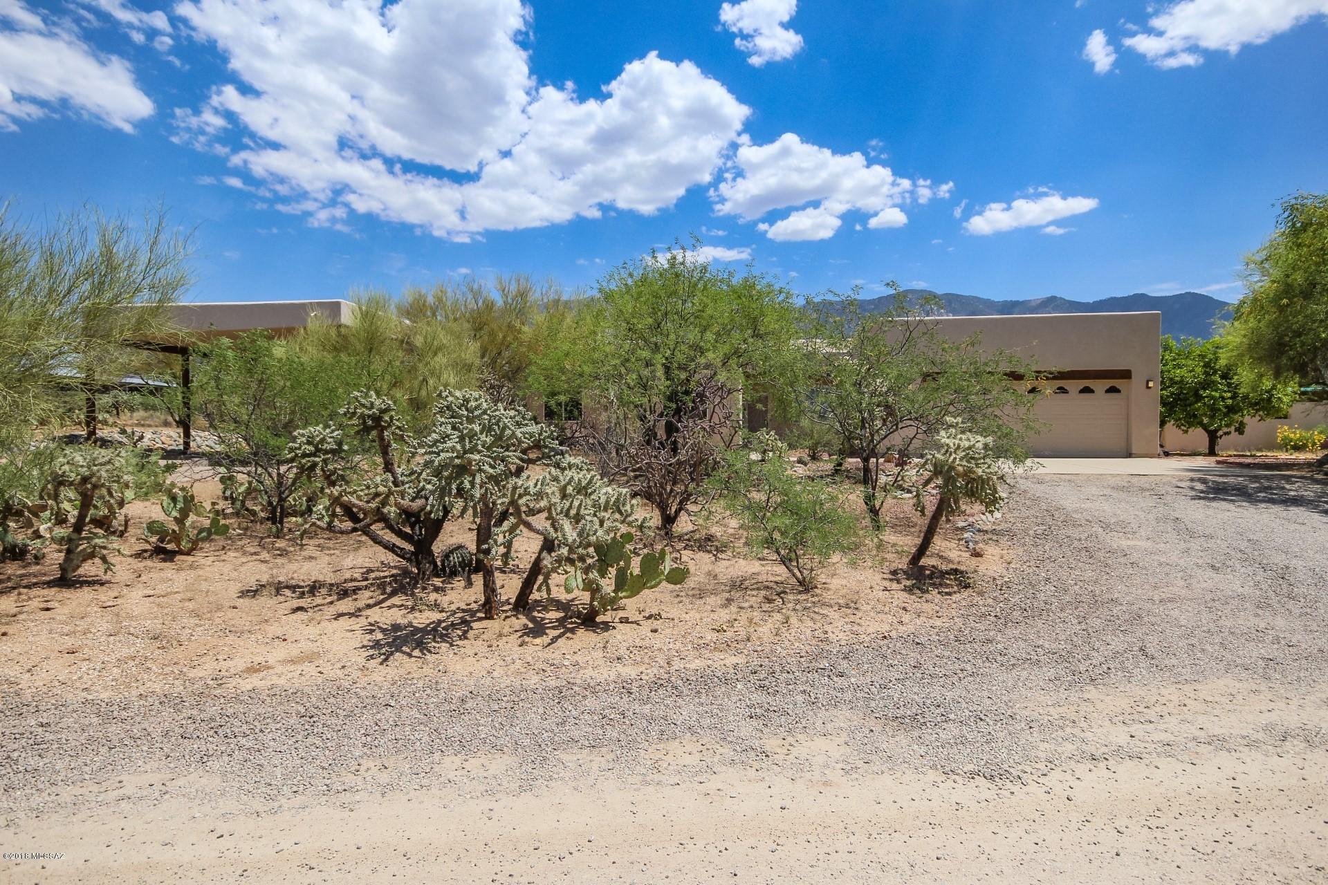 14480 North Swan Road Tucson, AZ 85739 - Photo 2 of 31 a view of a dry yard with lots of trees
