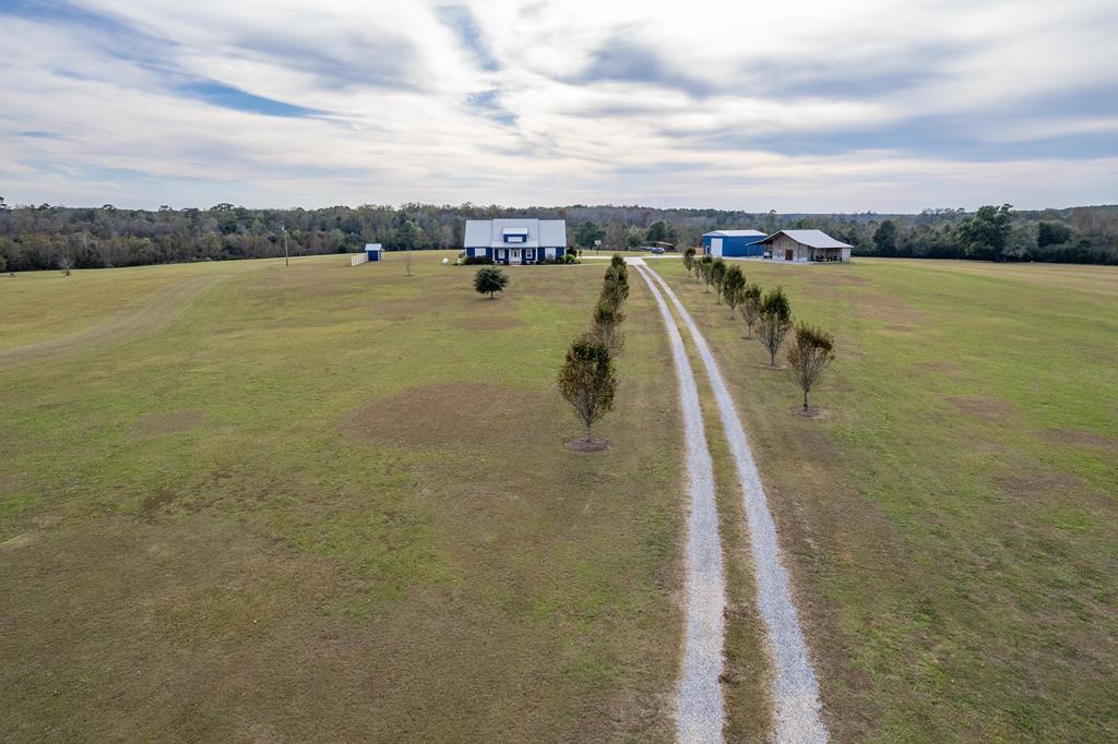2512 Old Chipley Road Slocomb, AL 36375 - Photo 4 of 71
