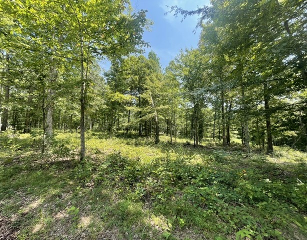 0 Hillcrest Road Waverly, TN 37185 - Photo 1 of 5 Gallery Image 1