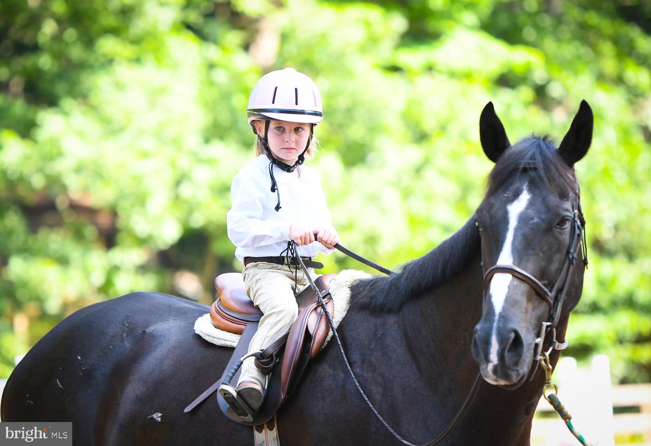 308 Happy Creek Road Locust Grove, VA 22508 - Photo 17 of 29 Equestrian Center