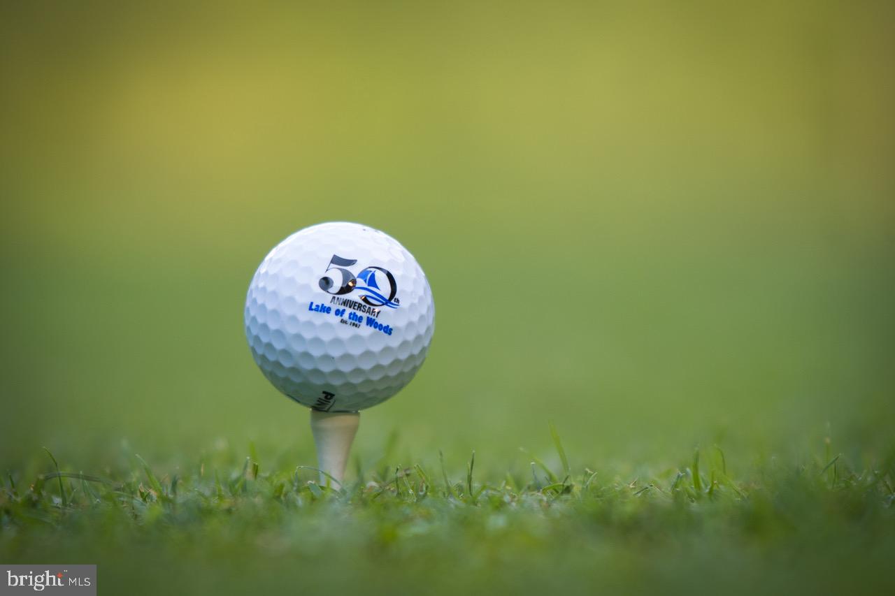 308 Happy Creek Road Locust Grove, VA 22508 - Photo 18 of 29 Championship Golf Course