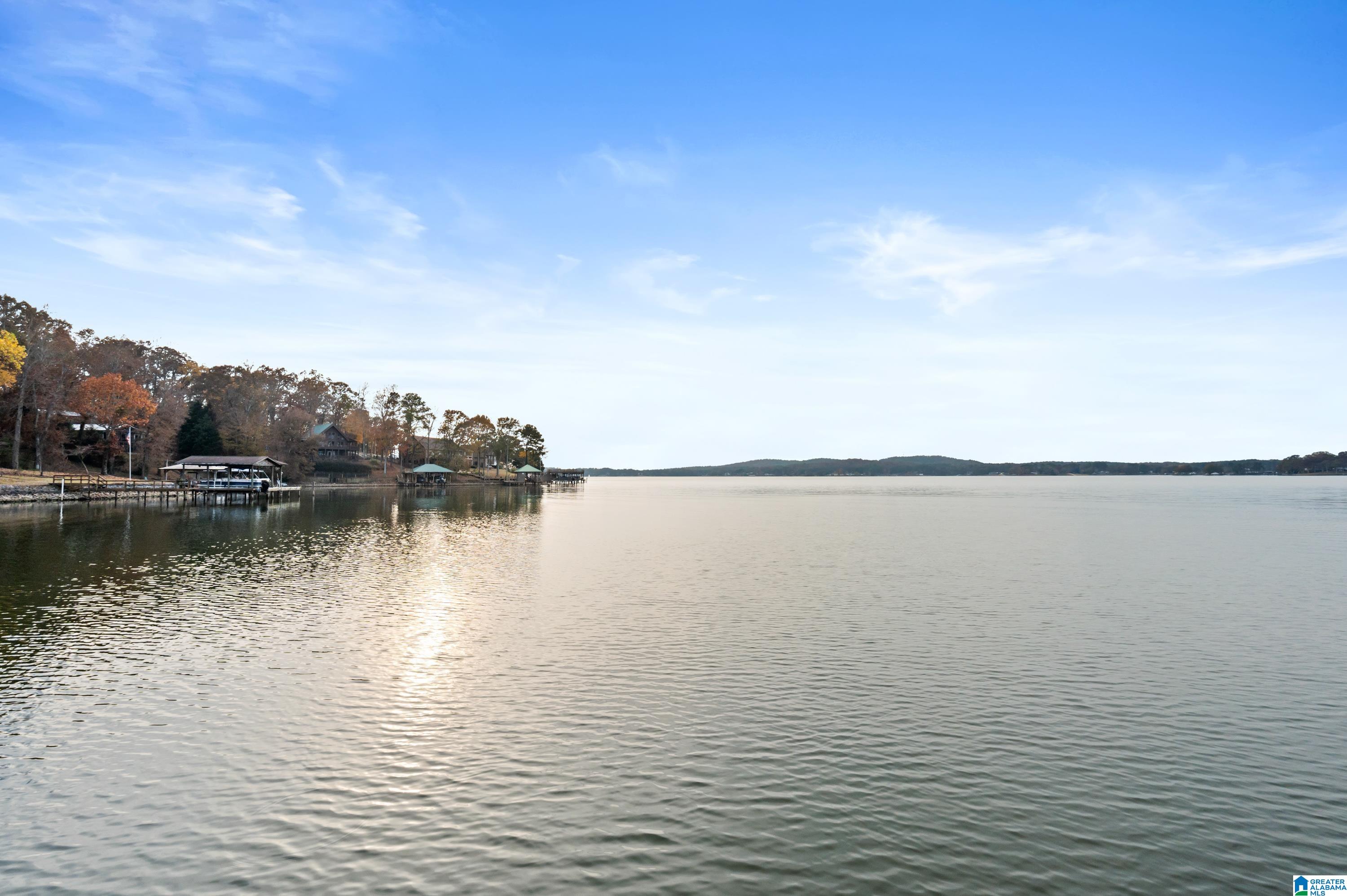 77 Waters Edge Way Alpine, AL 35014 - Photo 58 of 82 Gallery Image 58