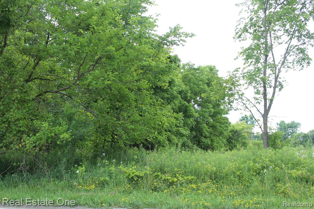 0 Norton Road Howell, MI 48843 - Photo 5 of 26 Gallery Image 5