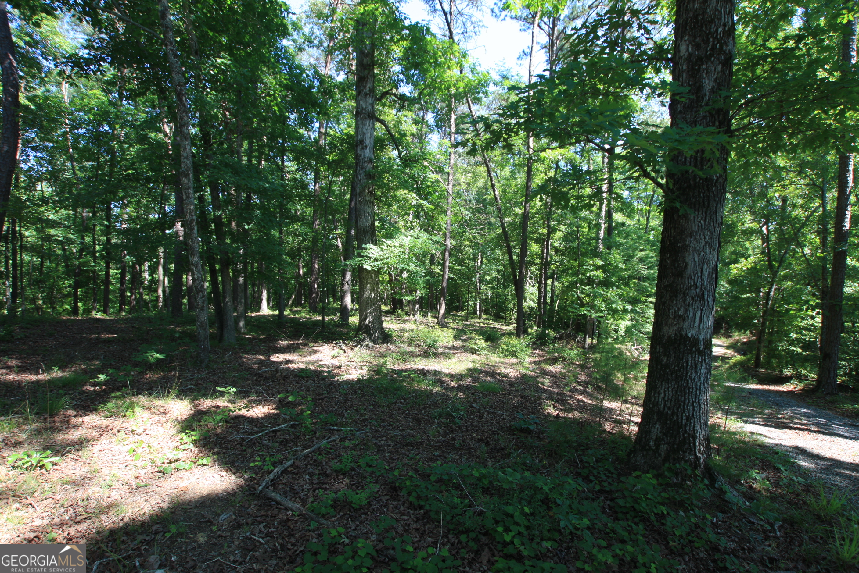 0 Mcgee Bend Road Rome, GA 30165 - Photo 2 of 33