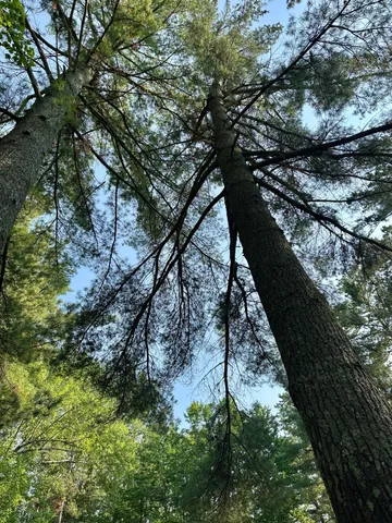 $799,000 | 5896 Lk May Drive Northwest, Akeley, MN 56433