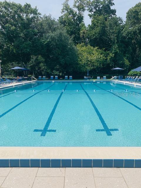 70 Moree Loop, Unit 63 Winter Springs, FL 32708 - Photo 14 of 14