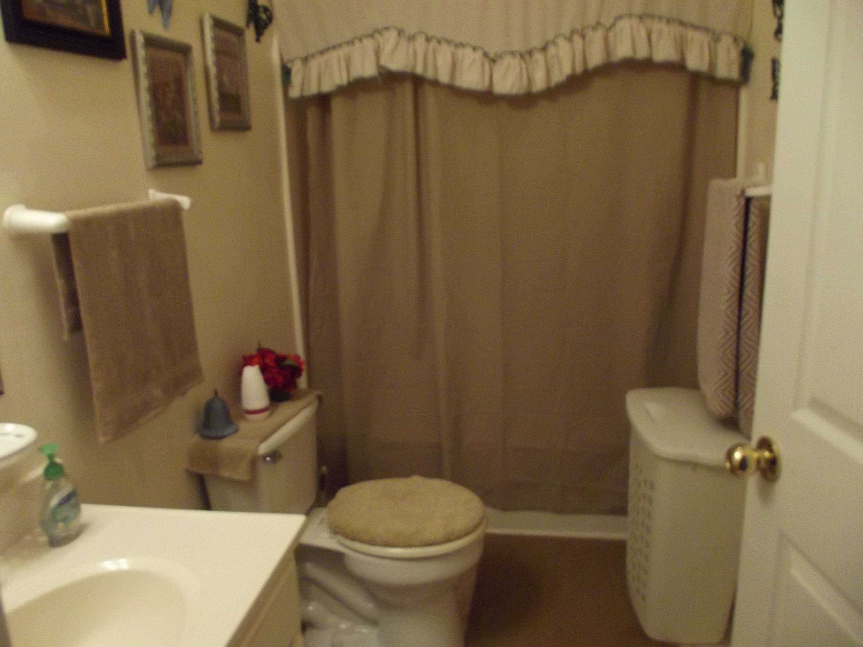 588 Bethlehem Road Madisonville, TN 37354 - Photo 8 of 12 8-Guest Bath