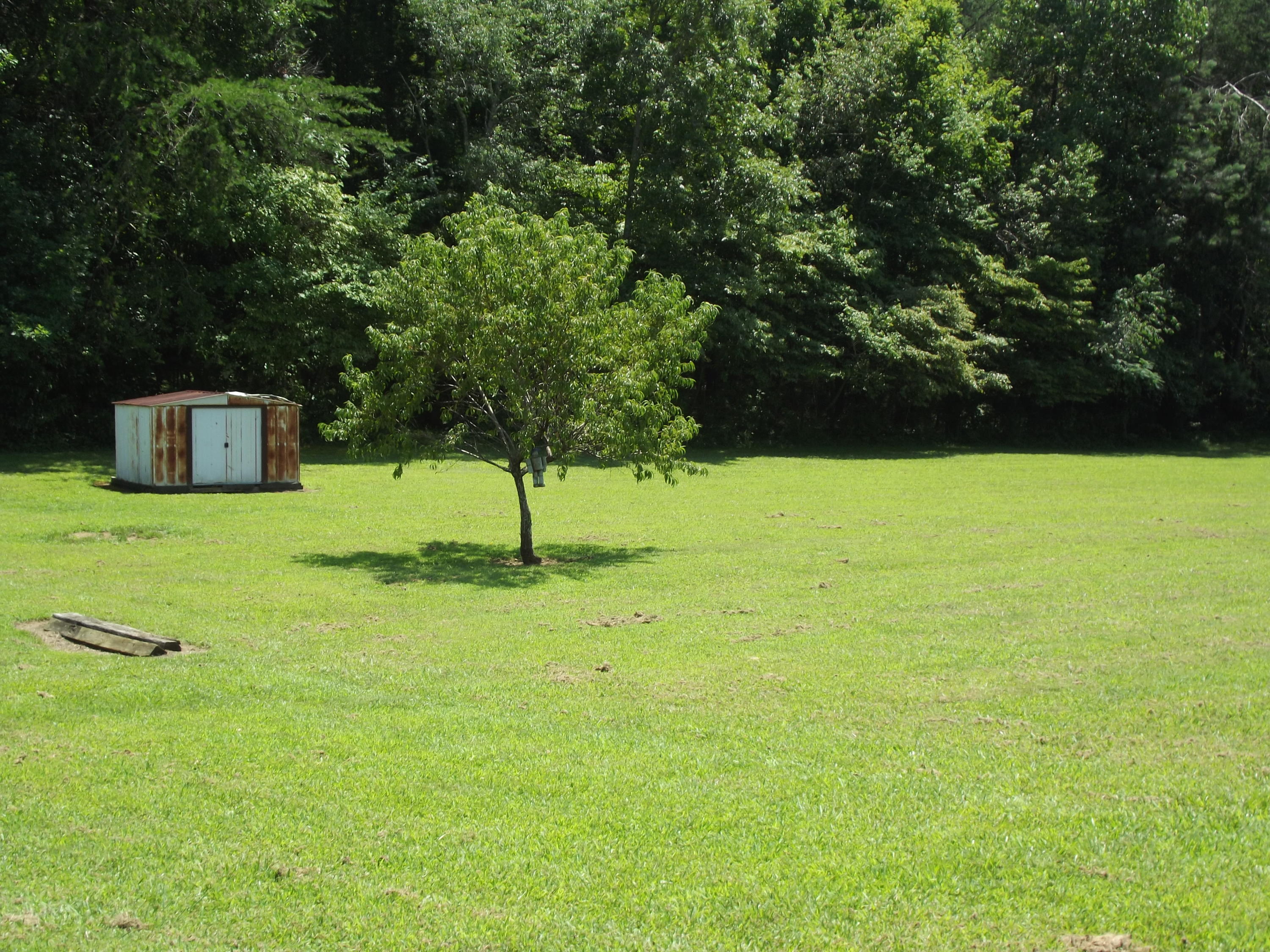 588 Bethlehem Road Madisonville, TN 37354 - Photo 10 of 12 10-Level 1.9 acres