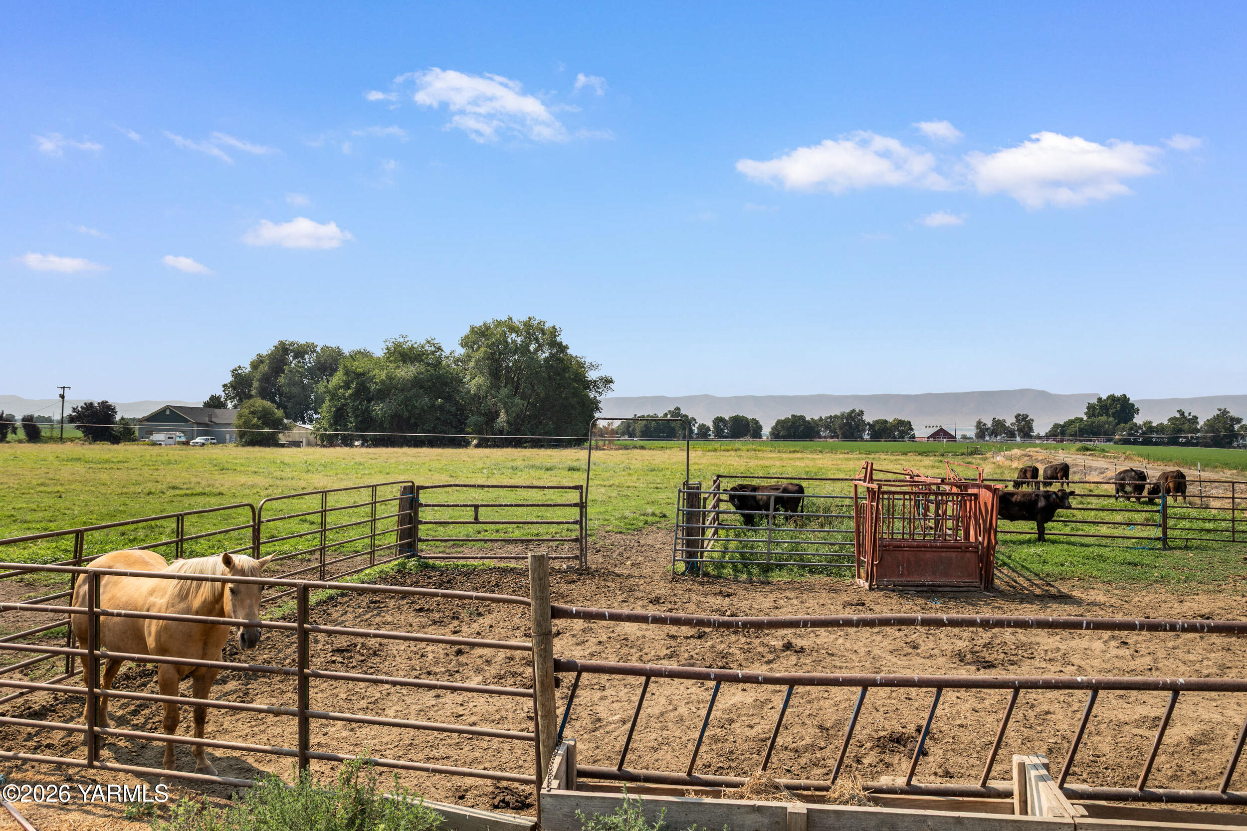 2660 Brownstown Road Harrah, WA 98933 - Photo 59 of 88 Perfect space for your horses