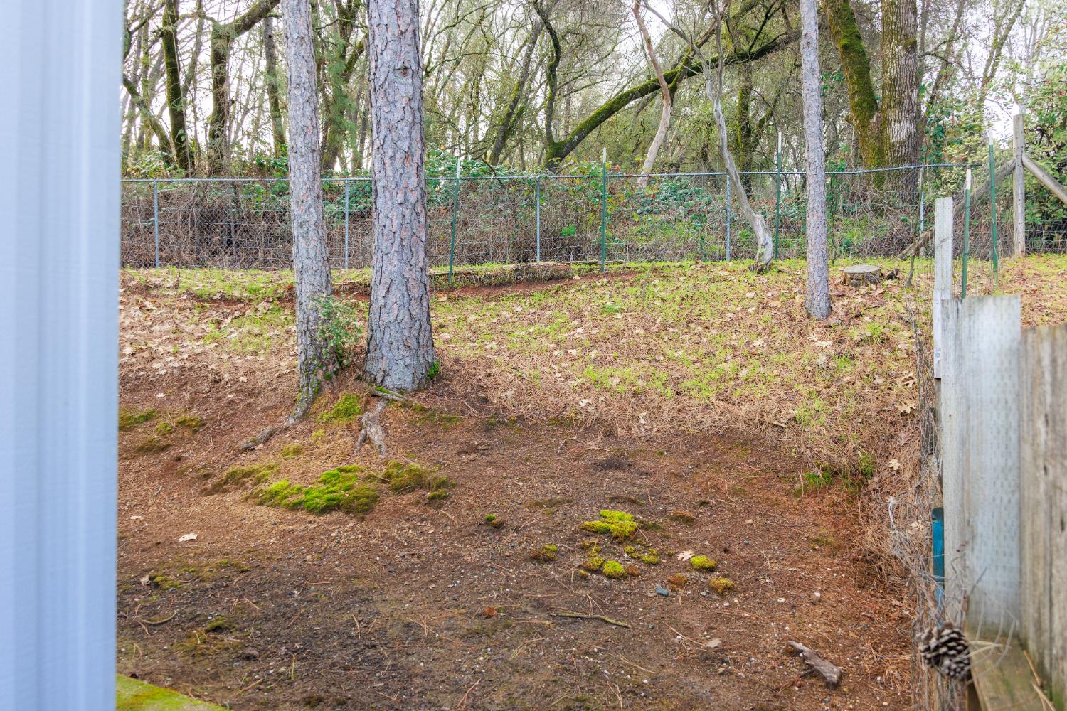 10251 Combie Road, Unit 13 Auburn, CA 95602 - Photo 15 of 15