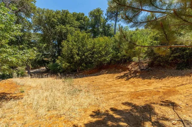 a view of a yard covered in snow