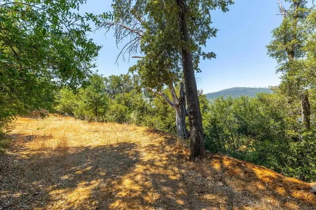 a view of a yard with a tree