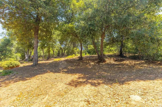a view of outdoor space with trees