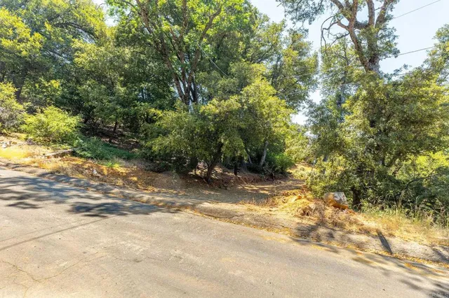 a view of a yard with a tree