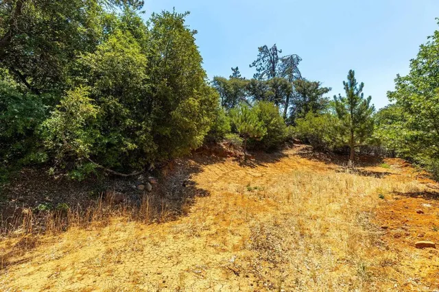 a view of a pathway with a yard