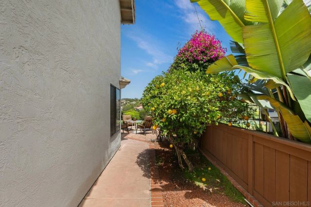 a view of a small yard in front of a house