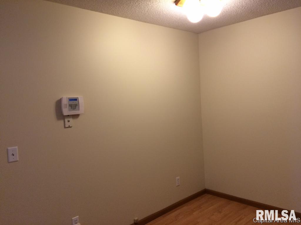 7225 Turkey Run Road Sherman, IL 62684 - Photo 15 of 36 Gallery Image 15