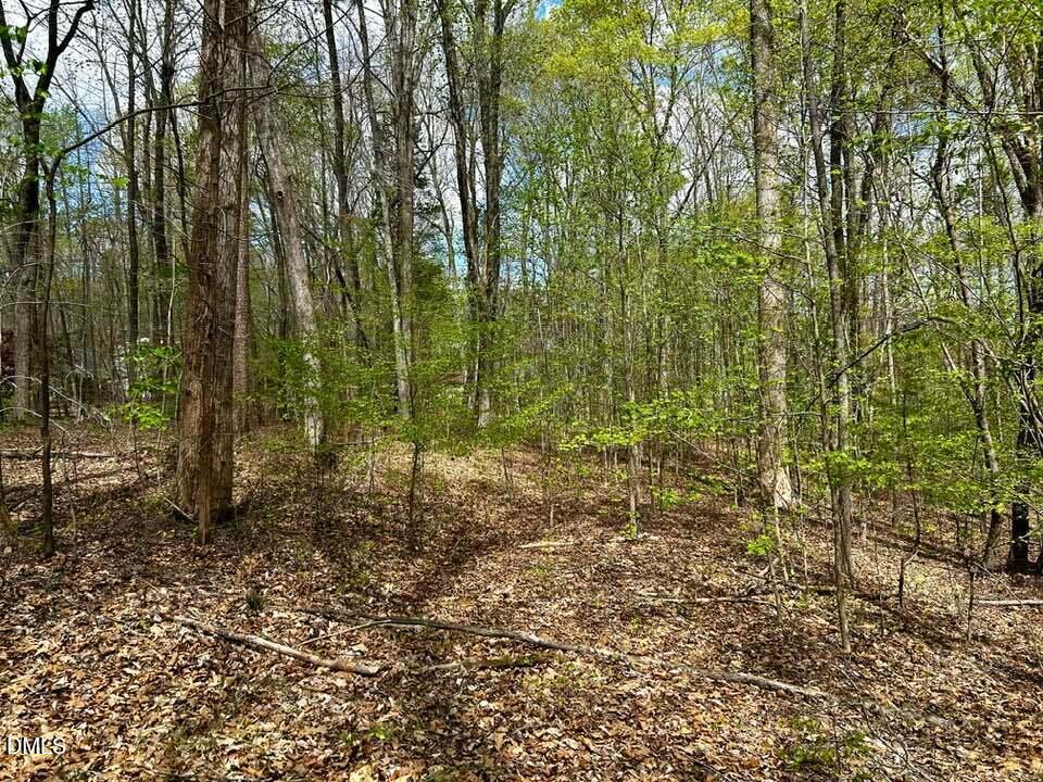 Lot 31 Fishermans Point Road Roxboro, NC 27574 - Photo 7 of 12 WOODED LOT