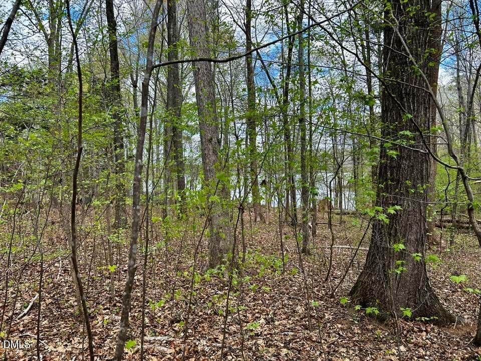 Lot 31 Fishermans Point Road Roxboro, NC 27574 - Photo 8 of 12 VIEW