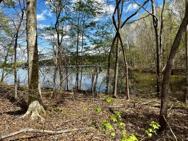 a view of lake with green space