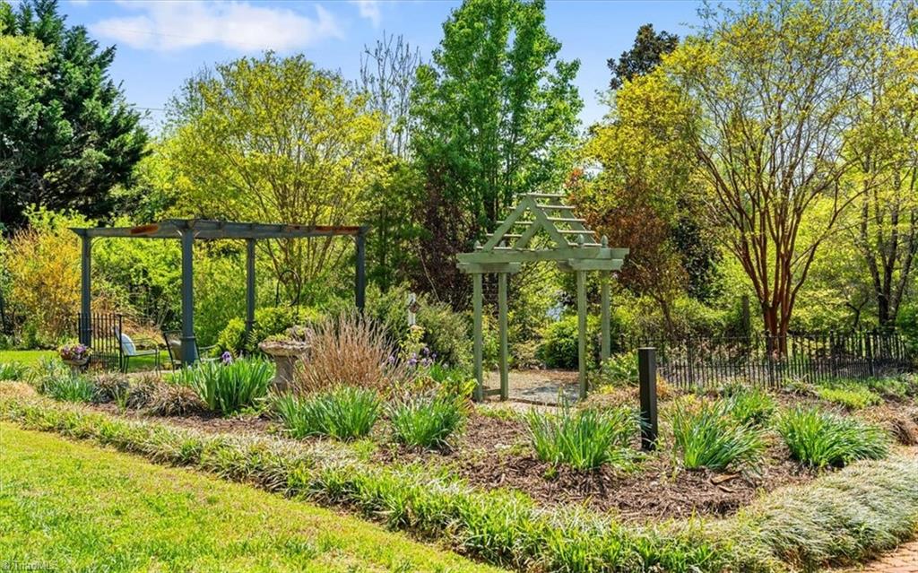 9825 Cherry Grove Road Reidsville, NC 27320 - Photo 41 of 49 LUSH BACKYARD!