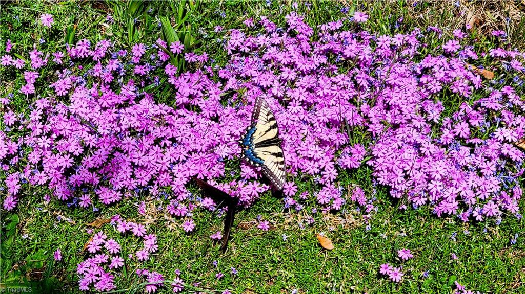 9825 Cherry Grove Road Reidsville, NC 27320 - Photo 43 of 49 BEAUTY OF CHANGE~