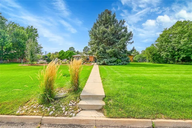 a view of a park with large trees