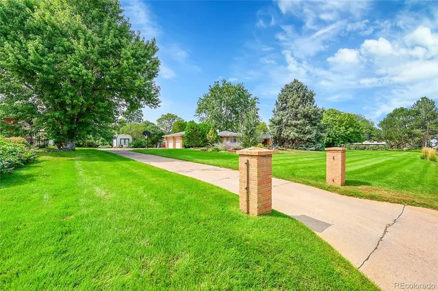 a view of a park with trees and plants