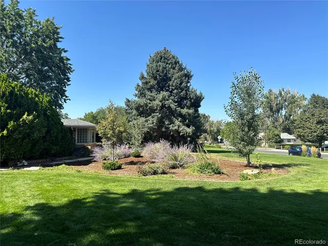 a view of a backyard with plants and a garden