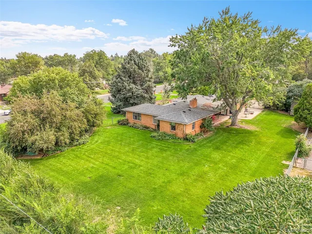 a view of a big yard with potted plants and large tree