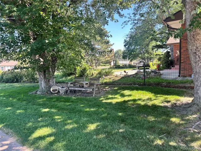 a view of a park with large trees