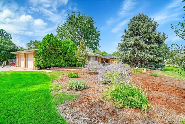 a view of a yard with plants and large trees