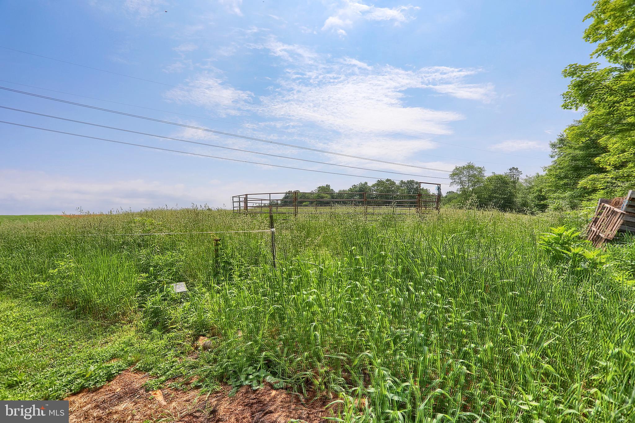 810 Cemetery Road Newport, PA 17074 - Photo 31 of 65 Gallery Image 31