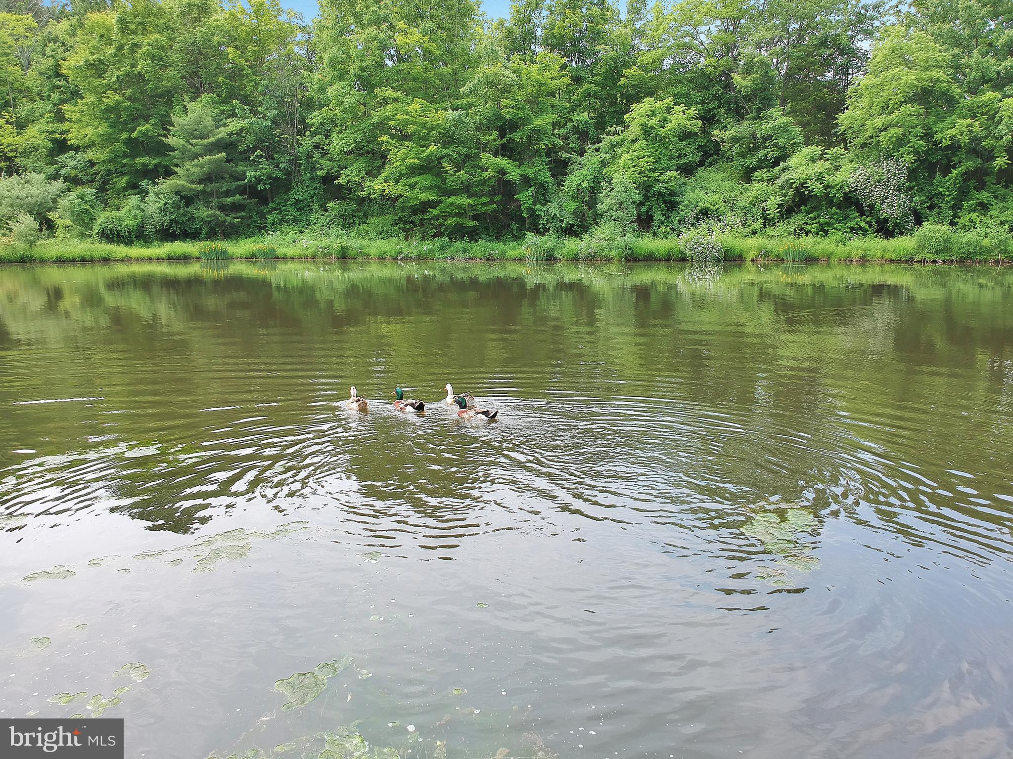 810 Cemetery Road Newport, PA 17074 - Photo 63 of 65 Gallery Image 63
