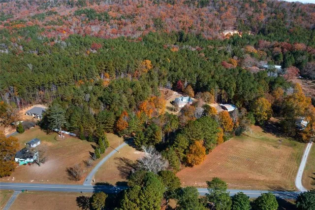 an aerial view of a house with a yard and large trees