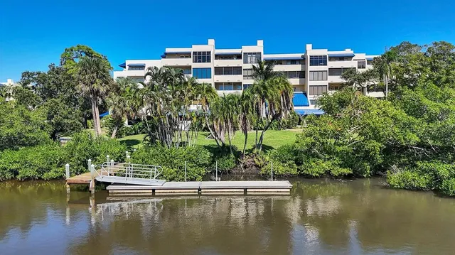 a garden with trees in front of it