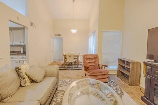 a living room with furniture a flat screen tv and a fireplace