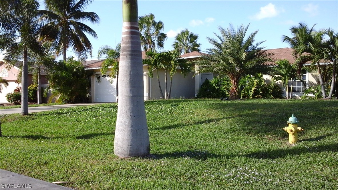 a view of a yard with palm trees