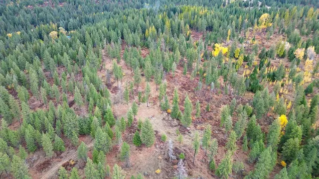 $575,000 | 0 North N Mount, Mead, WA 99021